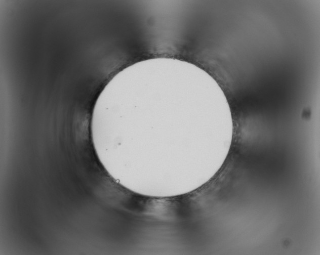 X0000103410717200809121305