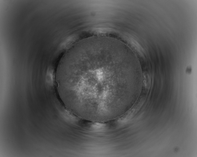 X0000103410718200809121305