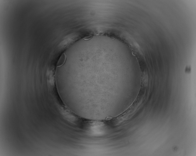 X0000103410719200809121305