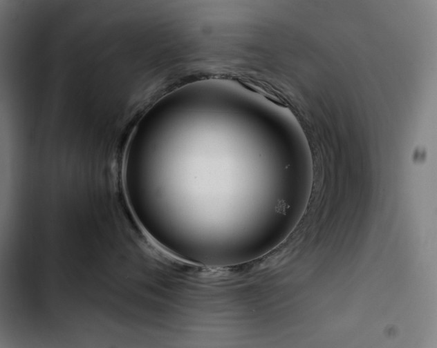 X0000103410720200809121305