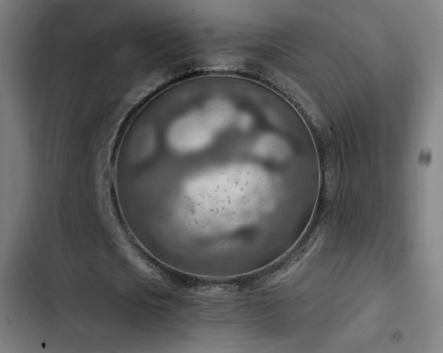 X0000103410721200809121305