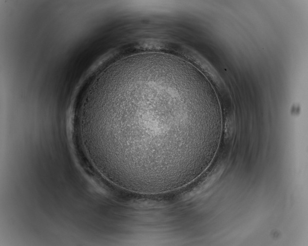 X0000103410722200809121305