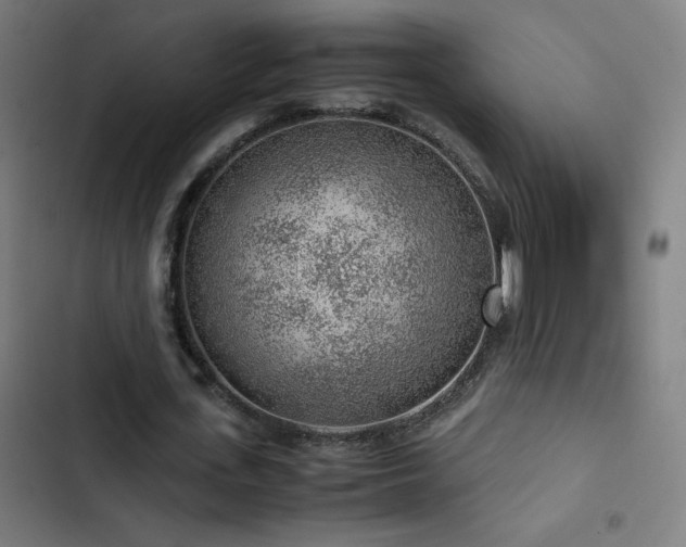 X0000103410723200809121305