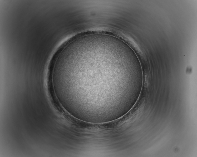 X0000103410724200809121305