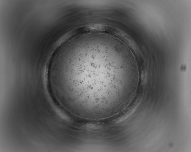 X0000103410725200809121305