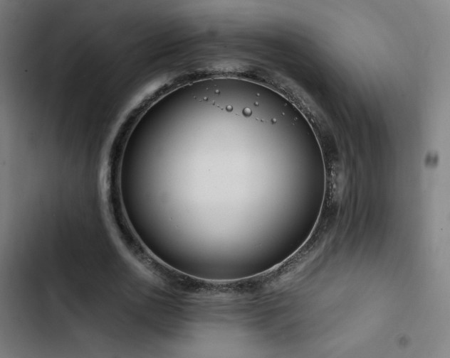 X0000103410726200809121305