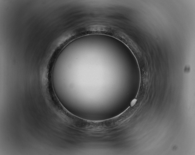 X0000103410727200809121305