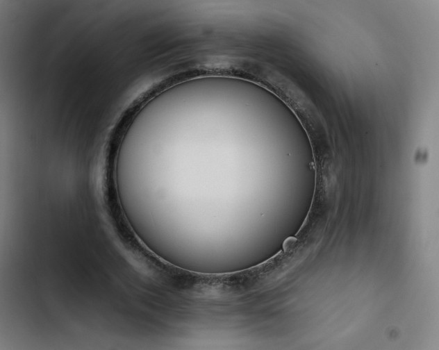 X0000103410728200809121305