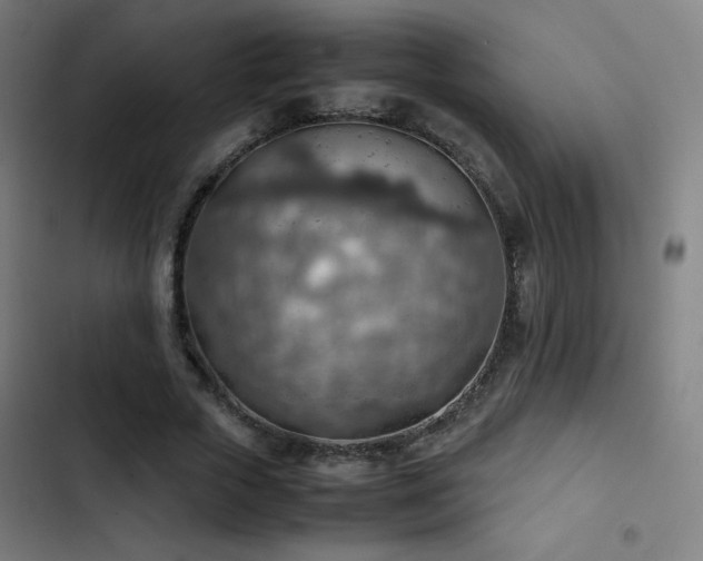 X0000103410729200809121305