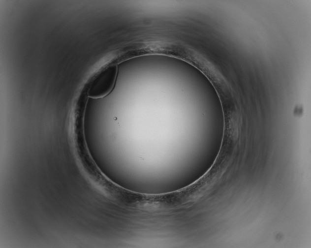 X0000103410730200809121305