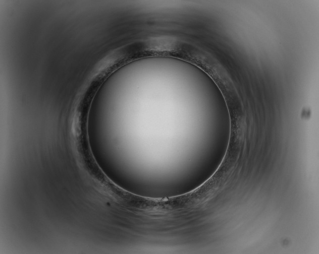 X0000103410731200809121305