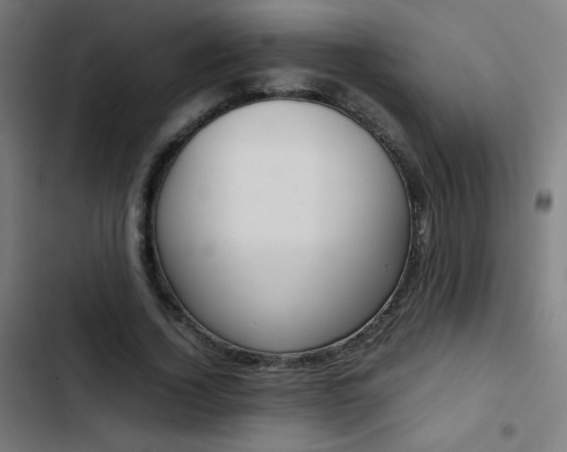 X0000103410732200809121305