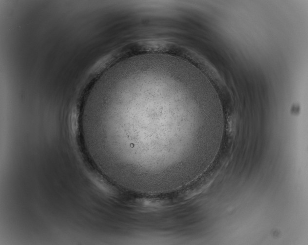 X0000103410733200809121305