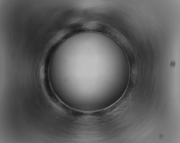 X0000103410734200809121305