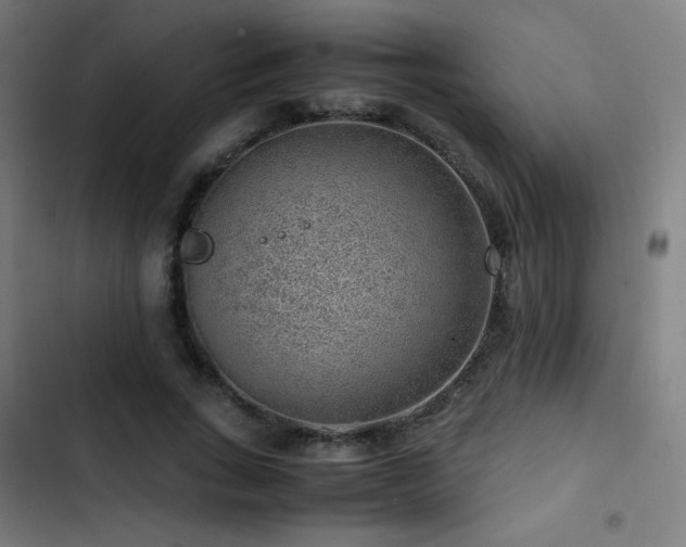 X0000103410735200809121305