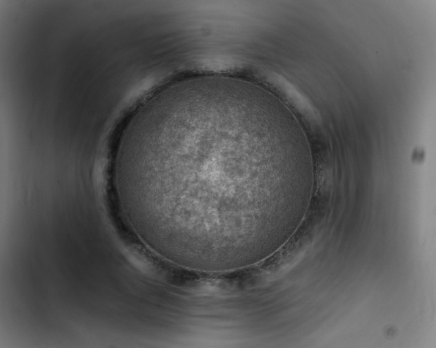 X0000103410736200809121305