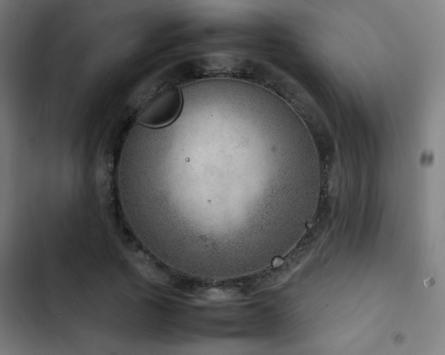 X0000103410737200809121305