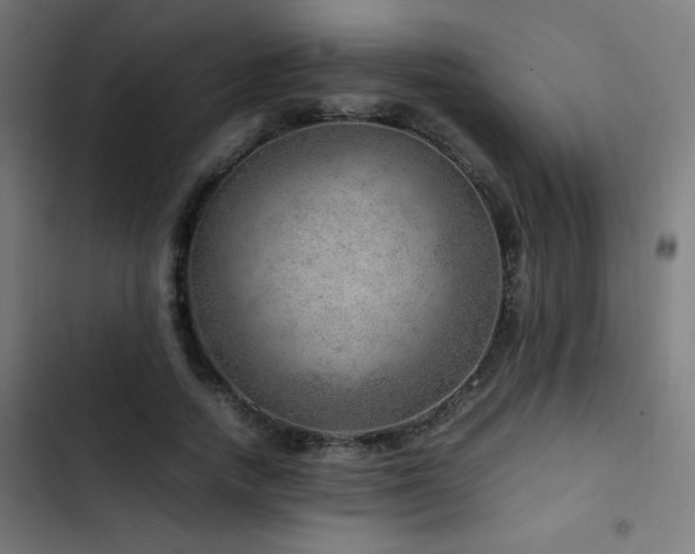 X0000103410738200809121305