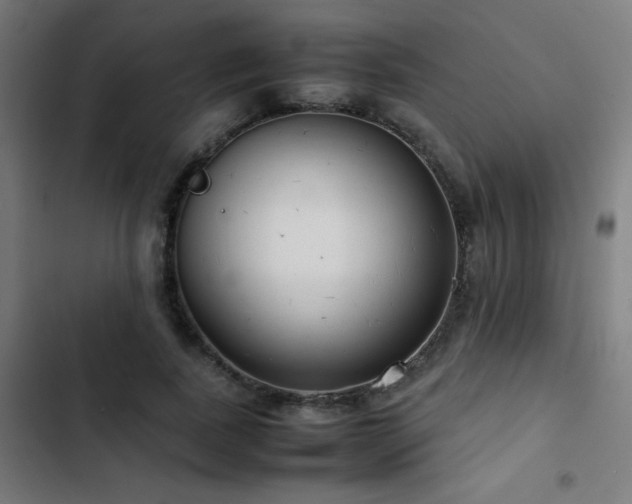 X0000103410739200809121305