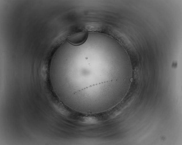 X0000103410741200809121305