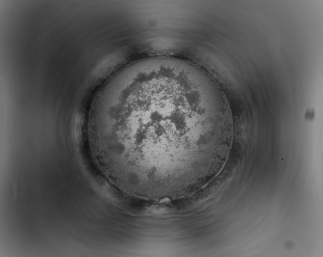 X0000103410742200809121305