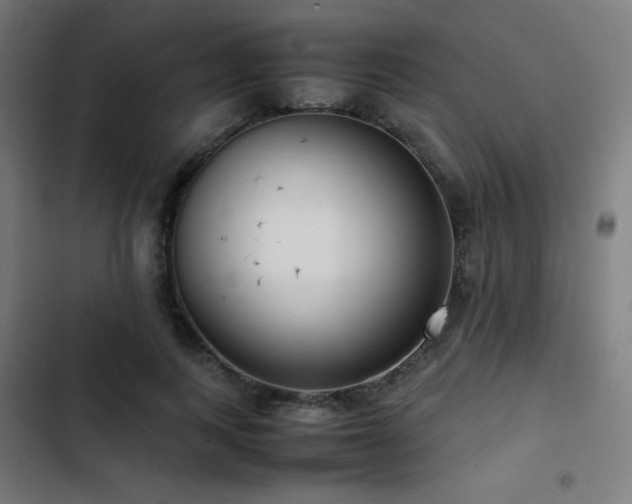 X0000103410743200809121305