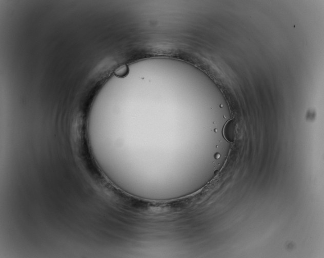 X0000103410744200809121305