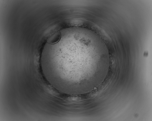 X0000103410745200809121305