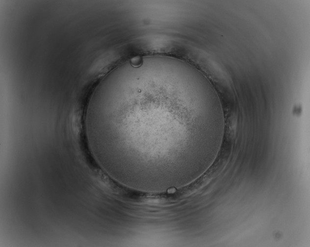 X0000103410746200809121305