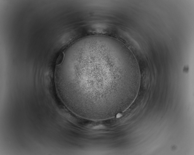 X0000103410747200809121305