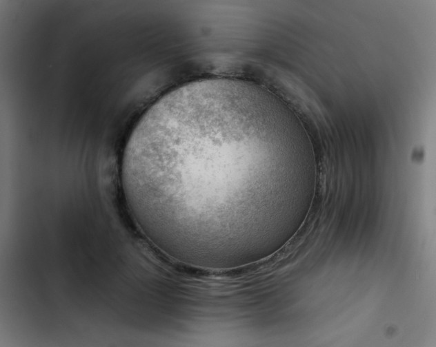 X0000103410748200809121305