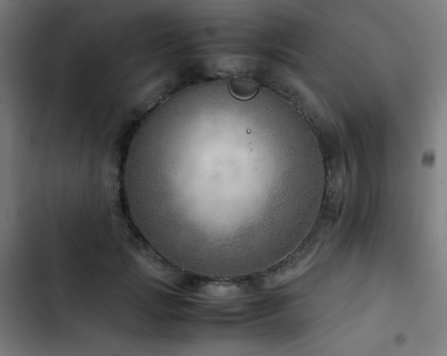 X0000103410749200809121305