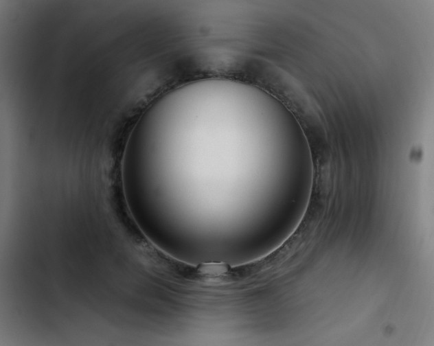 X0000103410750200809121305