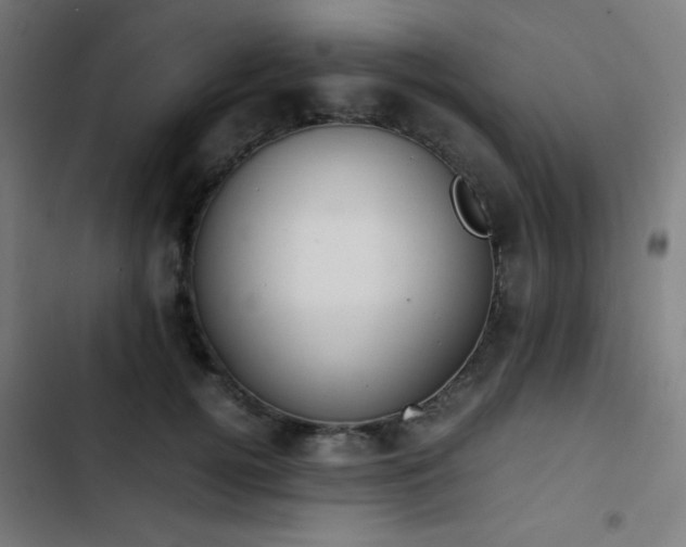 X0000103410752200809121305