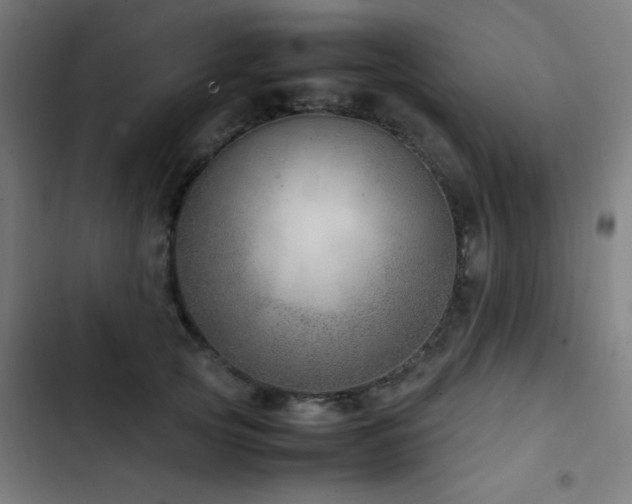 X0000103410753200809121305