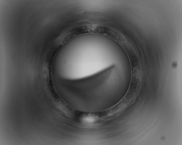 X0000103410754200809121305