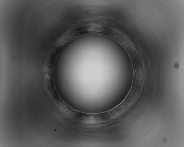 X0000103410755200809121305