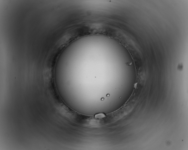 X0000103410756200809121305