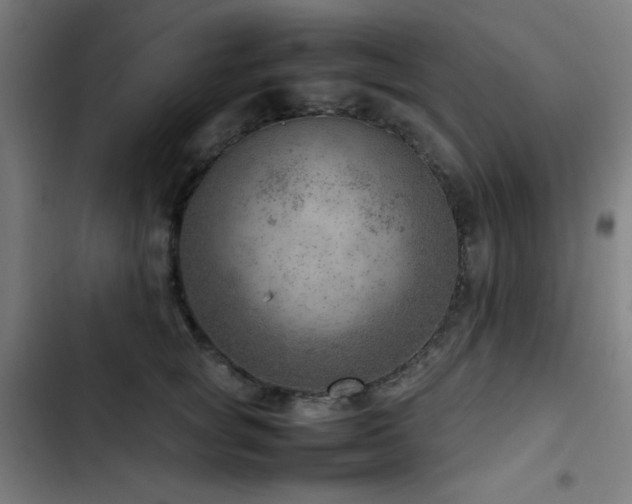 X0000103410757200809121305