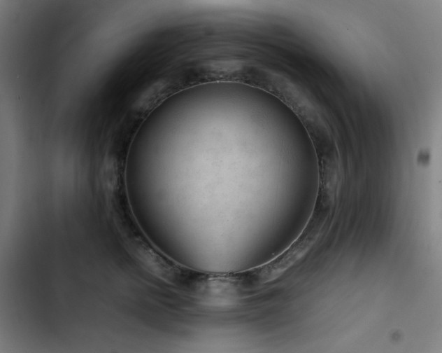 X0000103410758200809121305