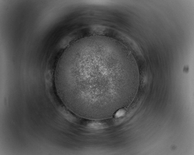 X0000103410759200809121305