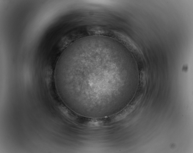 X0000103410760200809121305