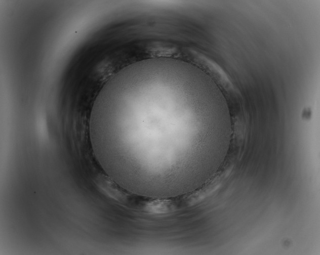 X0000103410761200809121305