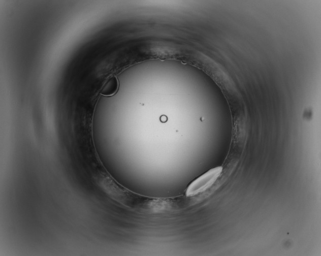 X0000103410762200809121305