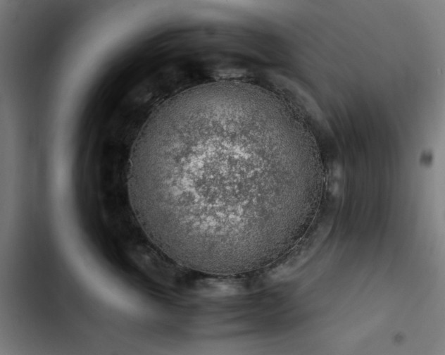 X0000103410763200809121305