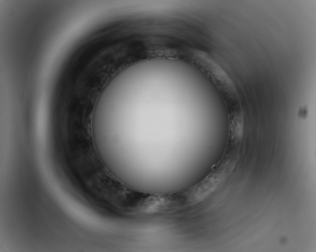 X0000103410764200809121305