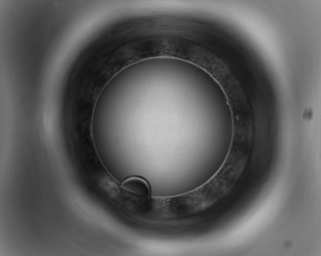 X0000103410766200809121305