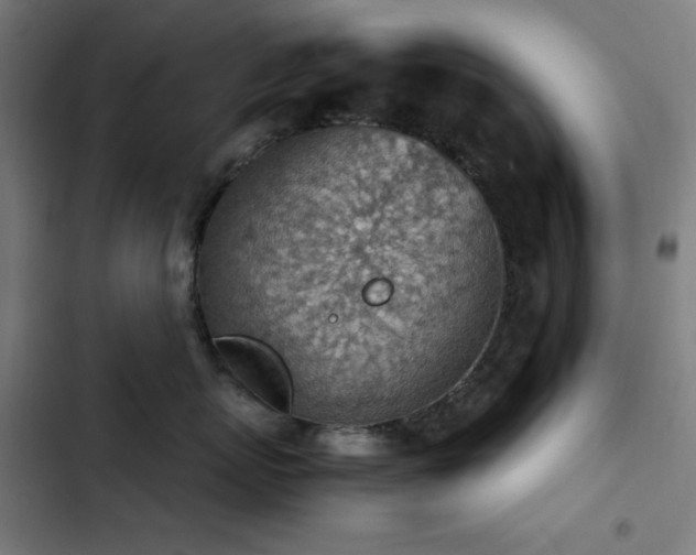 X0000103410767200809121305