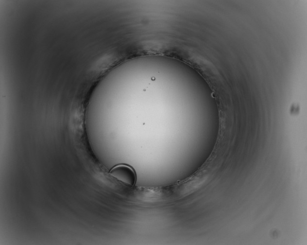 X0000103410768200809121305