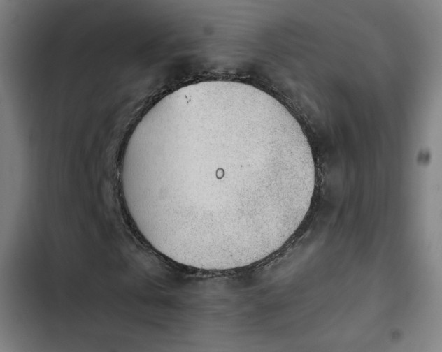 X0000103410769200809121304